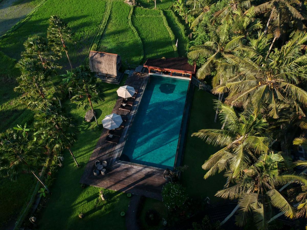 The Artini Dijiwa Ubud Hotel Exterior photo