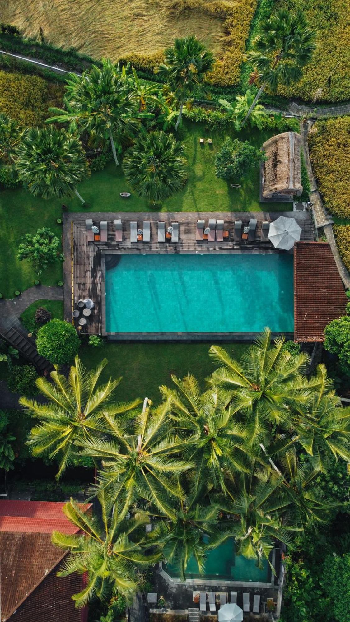 The Artini Dijiwa Ubud Hotel Exterior photo